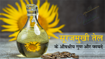 सूरजमुखी तेल के औषधीय गुण और फायदे