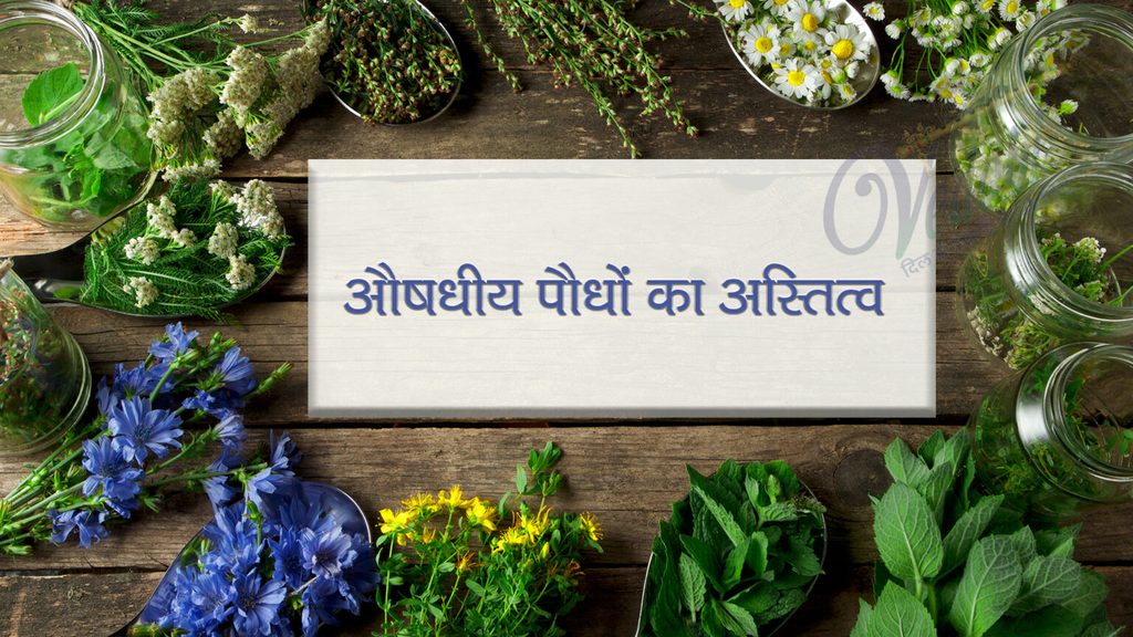 औषधीय पौधों का अस्तित्व