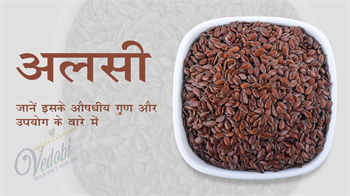 जानें, अलसी के औषधीय गुण और उपयोग के बारे में
