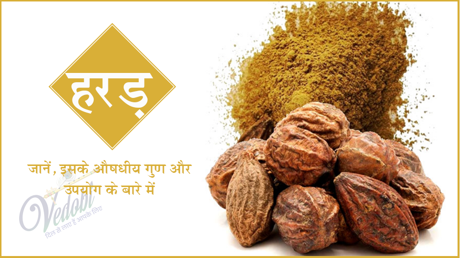 जानें, हरड़ के औषधीय गुण और उपयोग के बारे में