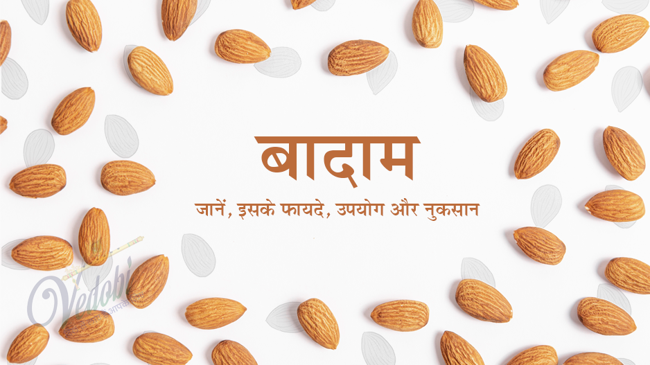 जानें बादाम के फायदे, उपयोग और नुकसान