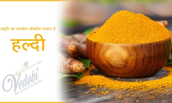प्रकृति का अनमोल औषधीय वरदान है हल्दी