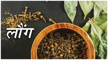 लौंग