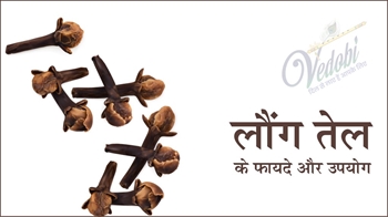 लौंग तेल के फायदे और उपयोग