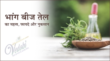 भांग बीज तेल का महत्व, फायदे और नुकसान