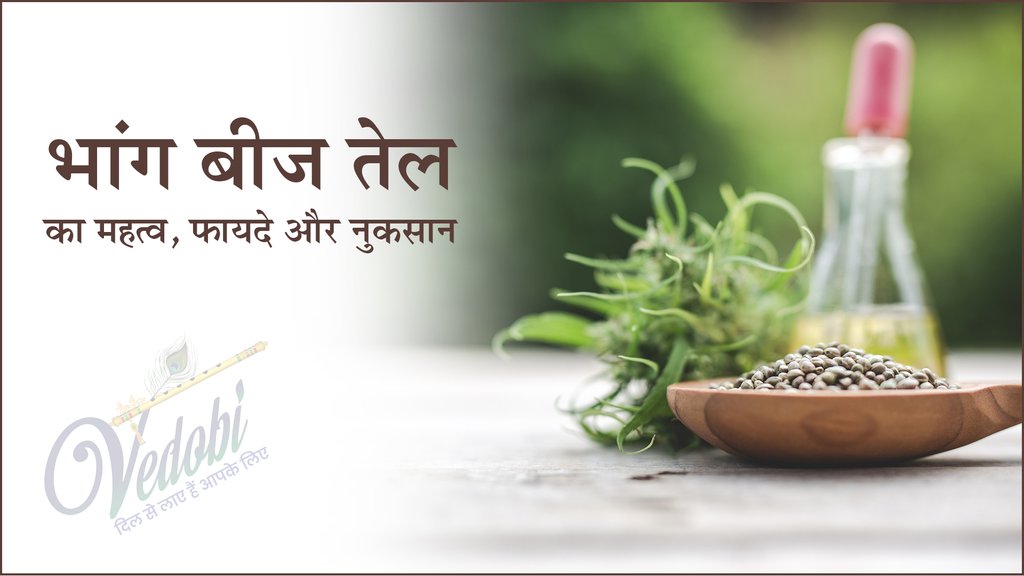 भांग बीज तेल का महत्व, फायदे और नुकसान