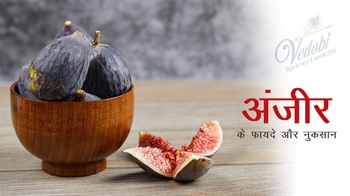 अंजीर के फायदे और नुकसान