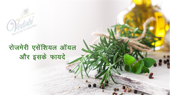 रोजमेरी एसेंशियल ऑयल और इसके फायदे