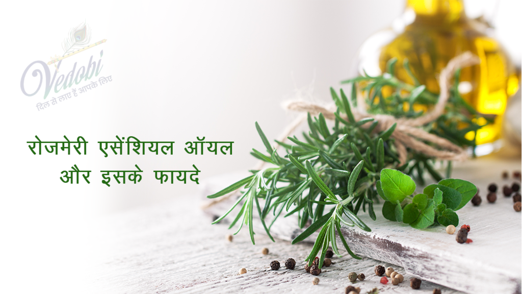 रोजमेरी एसेंशियल ऑयल और इसके फायदे