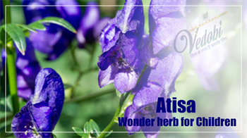 Atisa- Wonder herb for Children
