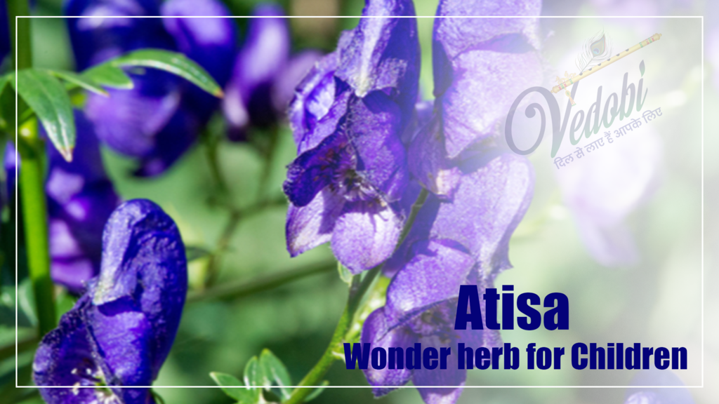 Atisa- Wonder herb for Children