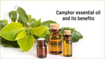 Camphor essential oil and its benefits