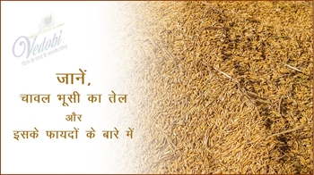 जानें, चावल भूसी का तेल और इसके फायदों के बारे में