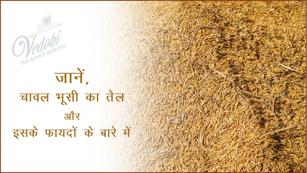 जानें, चावल भूसी का तेल और इसके फायदों के बारे में