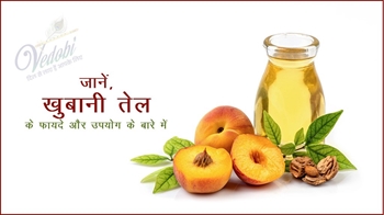 जानें, खुबानी तेल के फायदे और उपयोग के बारे में