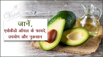 जानें, एवोकैडो ऑयल के फायदे, उपयोग और नुकसान