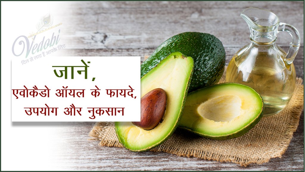 जानें, एवोकैडो ऑयल के फायदे, उपयोग और नुकसान