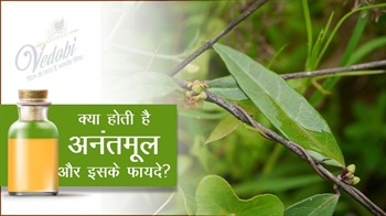 क्या होती है अनंतमूल और इसके फायदे?