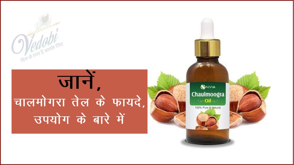 जानें, चालमोगरा तेल के फायदे, उपयोग के बारे में