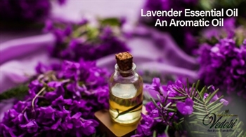 Lavender Essential Oil: An Aromatic Oil