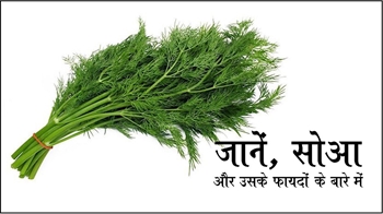 जानें, सोआ और उसके फायदों के बारे में