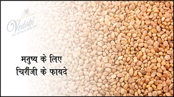 मनुष्य के लिए चिरौंजी के फायदे