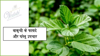 बाकुची के फायदे और घरेलू उपचार