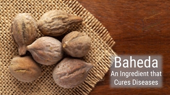 Baheda: An Ingredient that Cures Diseases