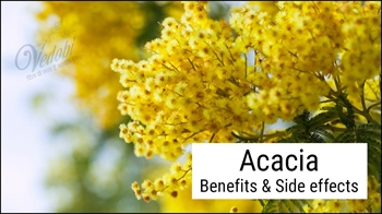 Acacia: Benefits & Side effects
