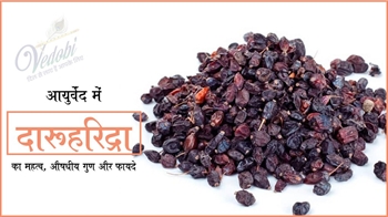 आयुर्वेद में दारुहरिद्रा का महत्व, औषधीय गुण और फायदे