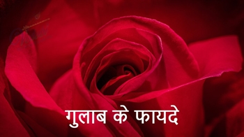गुलाब के फायदे