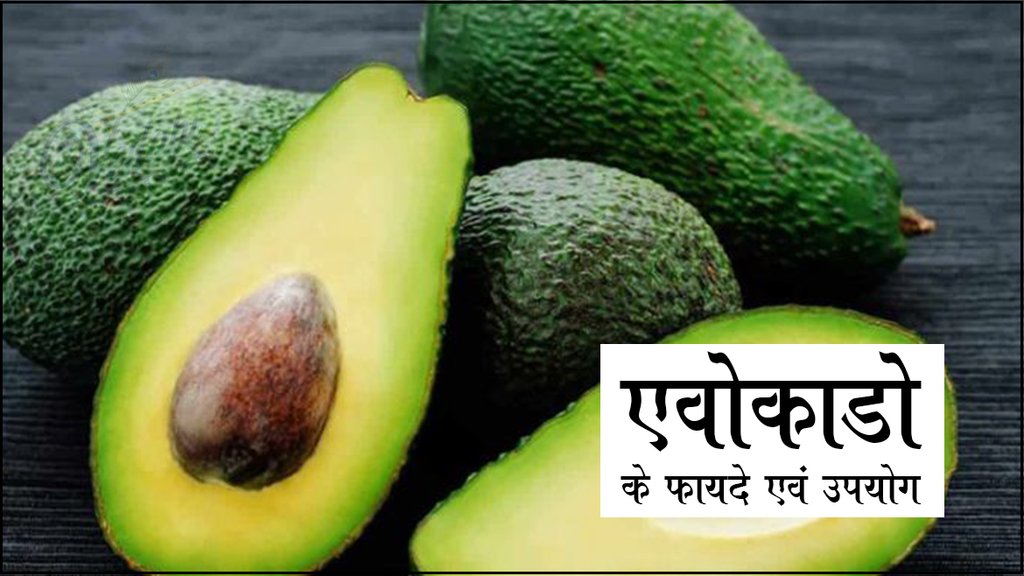 एवोकाडो के फायदे एवं उपयोग