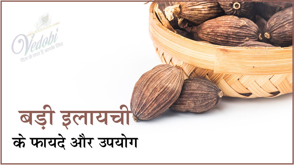 बड़ी इलायची के फायदे और उपयोग