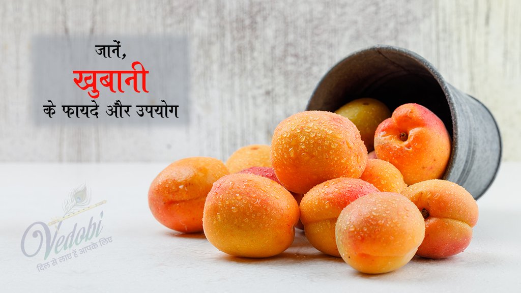 जानें, खुबानी के फायदे और उपयोग