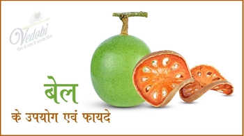 बेल के उपयोग एवं फायदे