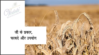 जौ के प्रकार, फायदे और उपयोग