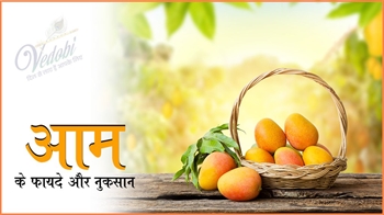 आम के फायदे और नुकसान