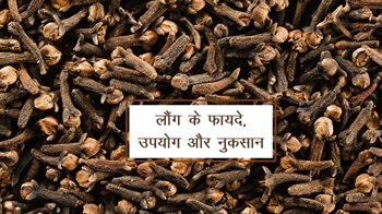 लौंग के फायदे, उपयोग और नुकसान