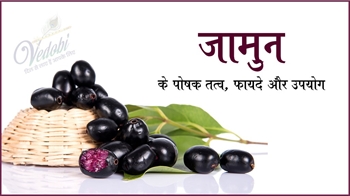 जामुन के पोषक तत्व, फायदे और उपयोग