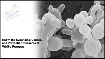 White Fungus- Symptoms, Causes, and Prevention measures