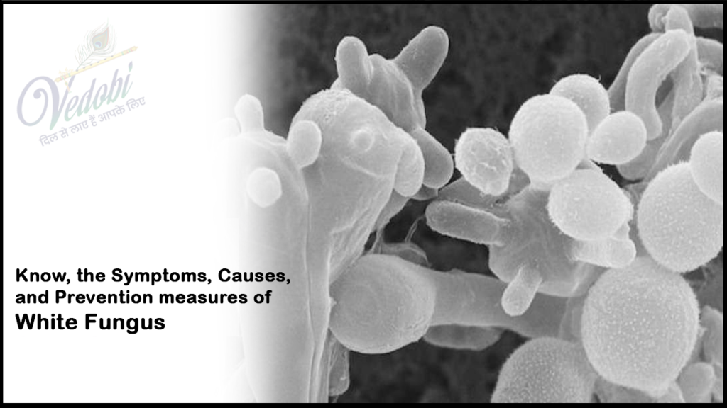 White Fungus- Symptoms, Causes, and Prevention measures