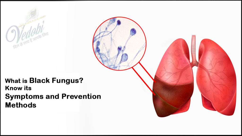 What is Black Fungus or Mucormycosis? Know its Symptoms and Prevention Methods