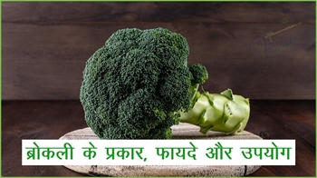 ब्रोकली के प्रकार, फायदे और उपयोग