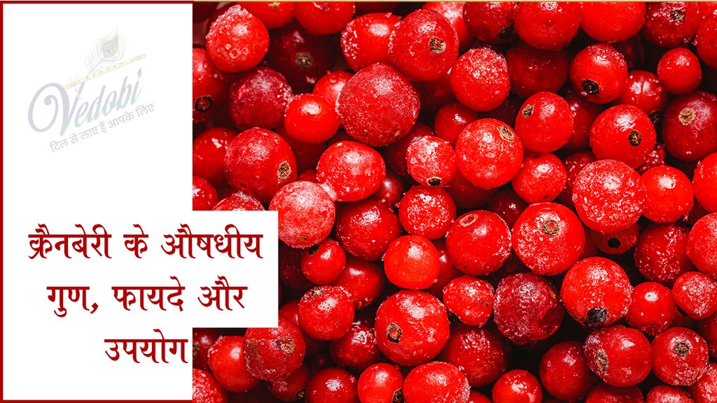 क्रैनबेरी के औषधीय गुण, फायदे और उपयोग