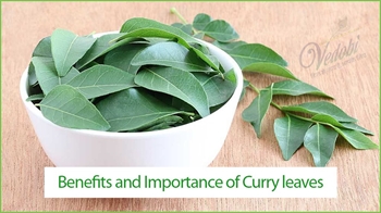 Benefits and Importance of Curry leaves