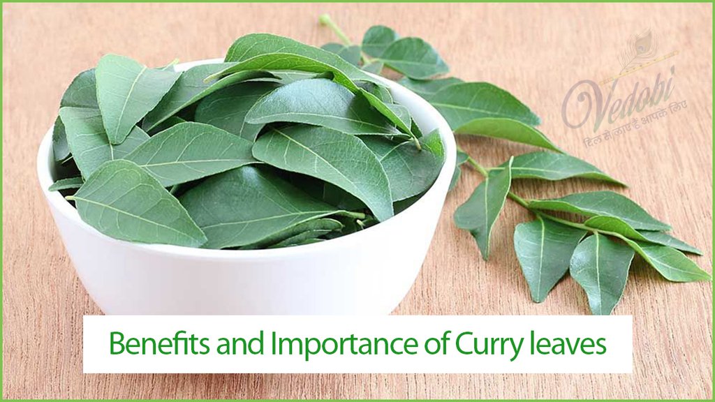 Benefits and Importance of Curry leaves