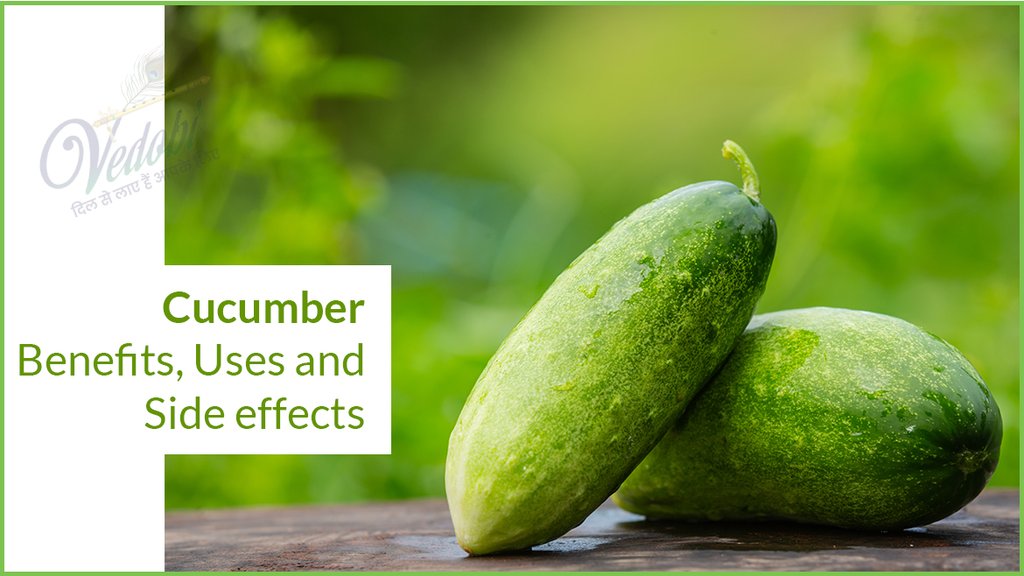 Cucumber- Benefits, Uses and Side effects