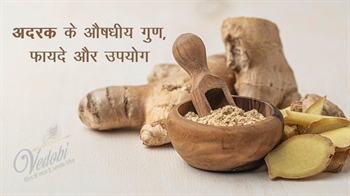 अदरक के औषधीय गुण, फायदे और उपयोग