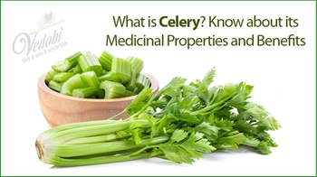 What is Celery? Know about its Medicinal Properties and Benefits