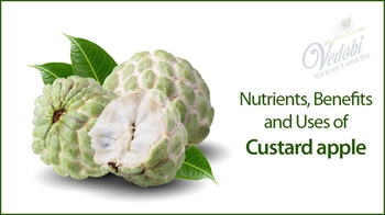 Nutrients, Benefits and Uses of Custard apple